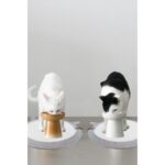 2’li Yıkanabilir Evcil Hayvan Mama ve Su Kabı Altlığı, Gri