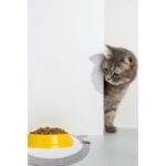 2’li Yıkanabilir Evcil Hayvan Mama ve Su Kabı Altlığı, Gri - Görsel 5