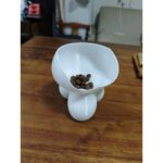 Çok Renkli Yaratıcı Evcil Hayvan Kase, 500 Ml, Köpek ve Kedi Için Şık Tasarım - Görsel 3