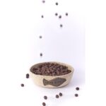 Bej Seramik Kedi ve Köpek Mama Su Kabı, Şık ve Kullanışlı, 0-1 L Hacim - Görsel 2