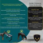 3 Kademe Ayarlı Çelik Mama ve Su Kabı, Kedi ve Köpekler Için Çok Renkli - Görsel 4