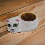 El Yapımı Sarı Porselen Kedi ve Köpek Mama Su Kabı, Şık ve Kullanışlı