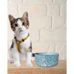 Turkuaz Seramik Mama ve Su Kabı, Şık ve Kullanışlı Evcil Hayvan Ürünleri - Görsel 2