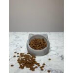 Seramik Gri Kedi ve Köpek Kuru Mama Kabı, Manuel Kullanım, 100 G