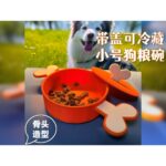 Kapaklı, Renkli, Kemik Şekilli Köpek Maması Kabı, 500 Ml, Şık ve Kullanışlı