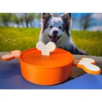 Kapaklı, Renkli, Kemik Şekilli Köpek Maması Kabı, 500 Ml, Şık ve Kullanışlı - Görsel 2