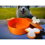 Kapaklı, Renkli, Kemik Şekilli Köpek Maması Kabı, 500 Ml, Şık ve Kullanışlı - Görsel 3