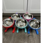 Çok Renkli Yükseltilmiş Evcil Hayvan Mama ve Su Kabı, 500 ml - Görsel 2