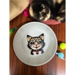 Sevimli Çok Renkli Seramik Mama ve Su Kabı, Evcil Hayvanlar Için Şık ve Fonksiyonel - Görsel 2