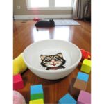 Sevimli Çok Renkli Seramik Mama ve Su Kabı, Evcil Hayvanlar Için Şık ve Fonksiyonel - Görsel 3