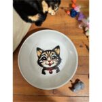 Sevimli Çok Renkli Seramik Mama ve Su Kabı, Evcil Hayvanlar Için Şık ve Fonksiyonel - Görsel 5