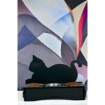 Siyah Çelik Kedi ve Köpek Su ve Mama Kabı, Şık ve Kullanışlı Tasarım - Görsel 3