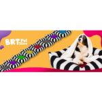 Sarı Kare Zebra Desenli Yumuşak Yatak Yastık Köpek ve Kedi Için - Görsel 3