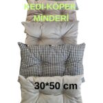2 Adet Çok Renkli Çok Amaçlı Yumuşak Minder 30X50 cm