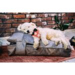 Yastıklı Gri Kedi ve Köpek Yatak, Rahat ve Şık Evcil Hayvan Konforu