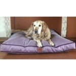 Mor ve Beyaz Rahat Evcil Hayvan Yatağı, Yumuşak ve Konforlu Tasarım