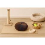 Çok Renkli Akordiyon Kedi Oyuncağı, Tırmalama Yüzeyli, Katlanabilir ve Zeka Geliştirici - Görsel 5