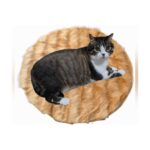 Turuncu Çok Amaçlı Evcil Hayvan Yatağı Yastık Renkli ve Rahat