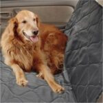 Araba Için Su Geçirmez Koltuk Koruma ve Kedi Köpek Minderli Taşıma Örtüsü