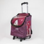 Pembe Pet Taşıma Çantası 32X26X42 Cm, Güvenli ve Şık Seyahat Arkadaşı - Görsel 2