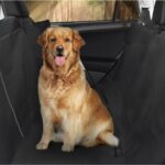 Araç Içi Evcil Hayvan Koruma Örtüsü ve Şiltesi, Su Geçirmez ve Kolay Temizlenir - Görsel 2