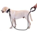 Reflektörlü 130 cm Gezdirme Tasması, Siyah, Orta ve Büyük Boy Köpekler Için - Görsel 2