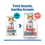 Hill's SP Somon Kısırlaştırılmış Yetişkin Kedi Maması  8+2 Kg. - Görsel 4