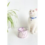 Mor Seramik Kedi ve Köpek Mama Su Kabı, Renkli ve Şık Tasarım.