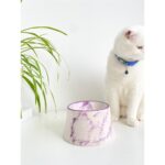 Mor Seramik Kedi ve Köpek Mama Su Kabı, Renkli ve Şık Tasarım. - Görsel 2