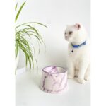 Mor Seramik Kedi ve Köpek Mama Su Kabı, Renkli ve Şık Tasarım. - Görsel 3