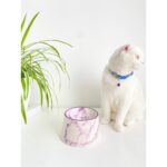 Mor Seramik Kedi ve Köpek Mama Su Kabı, Renkli ve Şık Tasarım. - Görsel 4