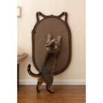 İlk El Grup Mikopet Dekoratif Kedi Kulaklı Tırmalama Paspası