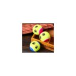 AyrStore At Getir Köpek Eğitim Topu