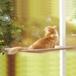 İlk El Grup Cama Asılan Kedi Yatağı - Görsel 3