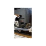 AyrStore Cama Asılan Kedi Yğı Vantuzlu - Görsel 2