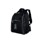 AyrStore Köpek Taşıma Sırt Çantası 33X43X23 cm Siyah - Görsel 2