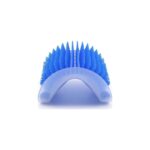 AyrStore Kedi Kaşıma Aparatı, Duvara Monte Edilebilir Kedi Tarağı, Kedi Otlu Kaşınma Aparatı