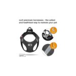 AyrStore Basic Harness Air-Mesh Black Xl - Görsel 2