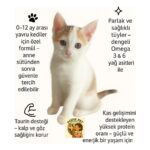 Reflex Kitten Tavuklu Yavru Kedi Maması 1 kg x 2 Adet (Toplam 2 Kg) 2 Li Fırsat Paketi - Görsel 2