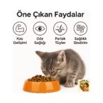 Reflex Plus Tavuklu Yavru Kedi Maması 1 kg (Yeni 1 kg Zipli Paketler) - Görsel 2