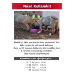 Collagen Flex 400 gr 2 Adet Eklem, Kas ve Kıkırdak Desteği - Görsel 3