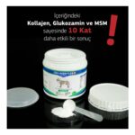 Collagen Flex Toz 400 gr 1 Adet Köpekler Için Kas, Eklem,kıkırdak ve Kemik Desteği Gıda Takviyesi - Görsel 5
