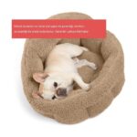 Gökcan Home Bej Yumuşak Dokulu Kedi Yatağı ve Köpek Yatağı (50X50X32CM) - Görsel 5