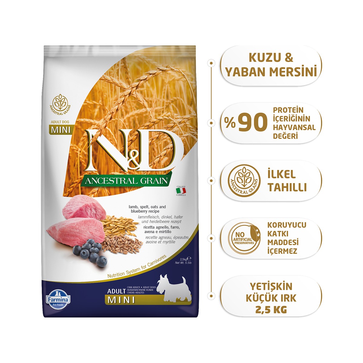 10379237031986.jpg N&D Kuzu Etli Yaban Mersini Düşük Tahıllı Yetişkin Mini Irk 2;5 Kg Köpek Maması - Görsel 1