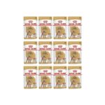 Royal Canin Poodle Tüy Sağlığı Destekleyici Yetişkin Köpek Konservesi 85GR 12 Adet