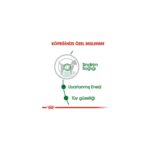 Royal Canin 85 gr Mini Adult Yetişkin 12ADET Yaş Köpek Maması - Görsel 4