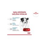 Royal Canin Mini Puppy 4 kg - Görsel 4