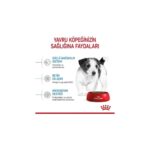 Royal Canin Mini Puppy Küçük Irk Yavru Köpek Maması 4 kg - Görsel 2