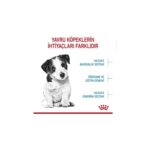 Royal Canin Mini Puppy Küçük Irk Yavru Köpek Maması 4 kg - Görsel 4