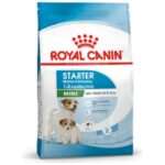 Royal Canin Mini Starter 4 kg